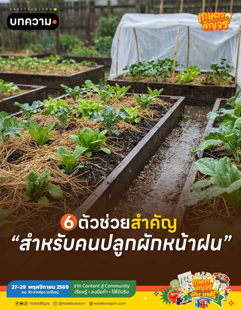 6 ตัวช่วยสำคัญสำหรับคนปลูกผักหน้าฝน