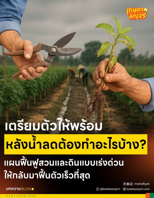 เตรียมตัวให้พร้อม