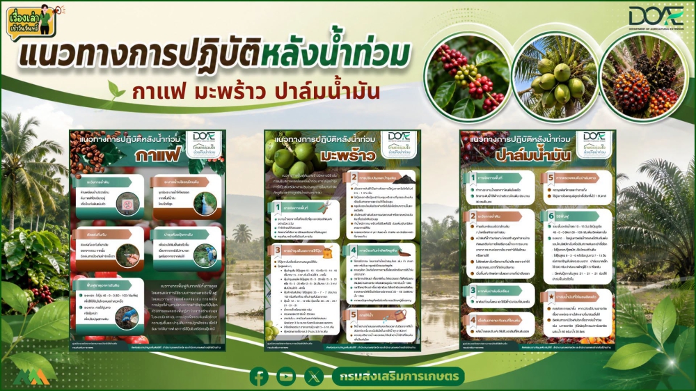 เรื่องเล่าเช้าวันจันทร์