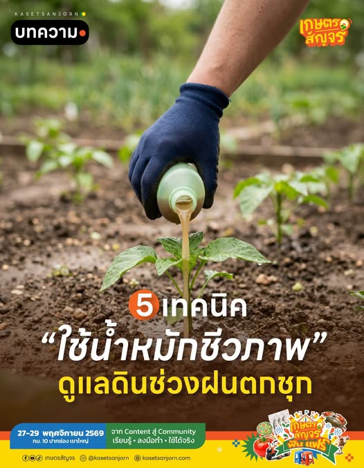 5 เทคนิค ใช้น้ำหมักชีวภาพดูแลดินช่วงฝนตกชุก