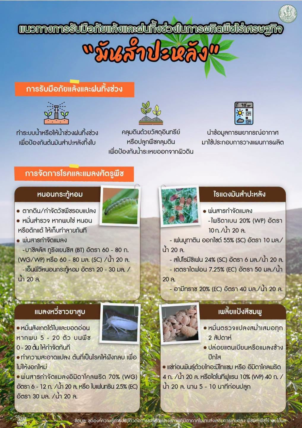 เตรียมรับมือภัยแล้งมันสำปะหลัง