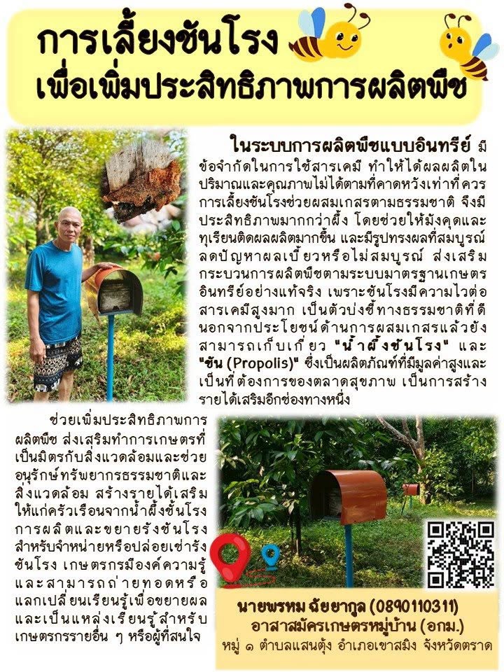 การเลี้ยง ชันโรง เพื่อเพิ่มประสิทธิภาพการผลิตพืช