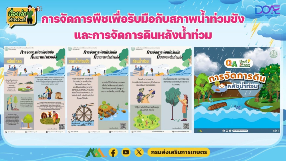 การจัดการพืชเพื่อรับมือกับสภาพน้ำท่วมขังและการจัดการดินหลังน้ำท่วม
