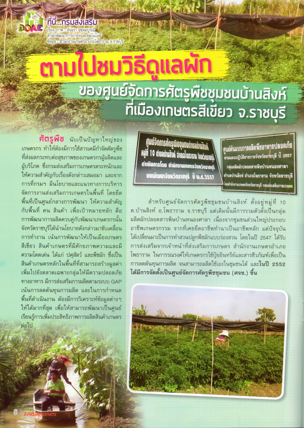 ตามไปชมวิธีดูแลผัก