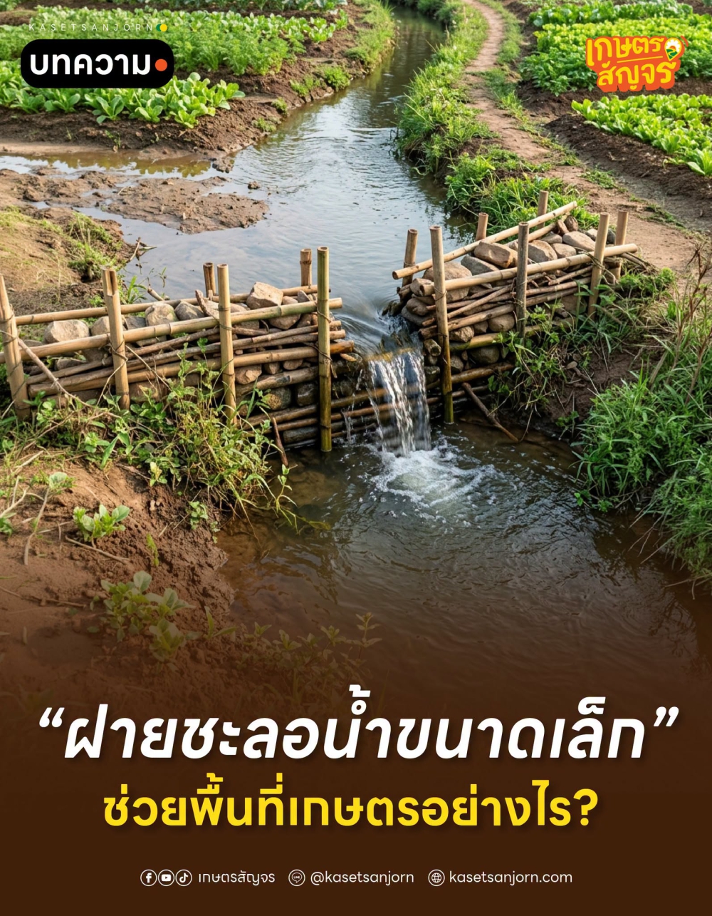 ฝายชะลอน้ำขนาดเล็ก ช่วยพื้นที่เกษตรอย่างไร?