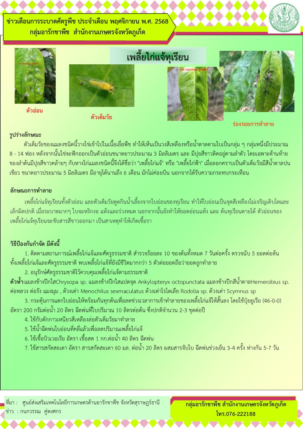 เพลี้ยไก่แจ้ทุเรียน