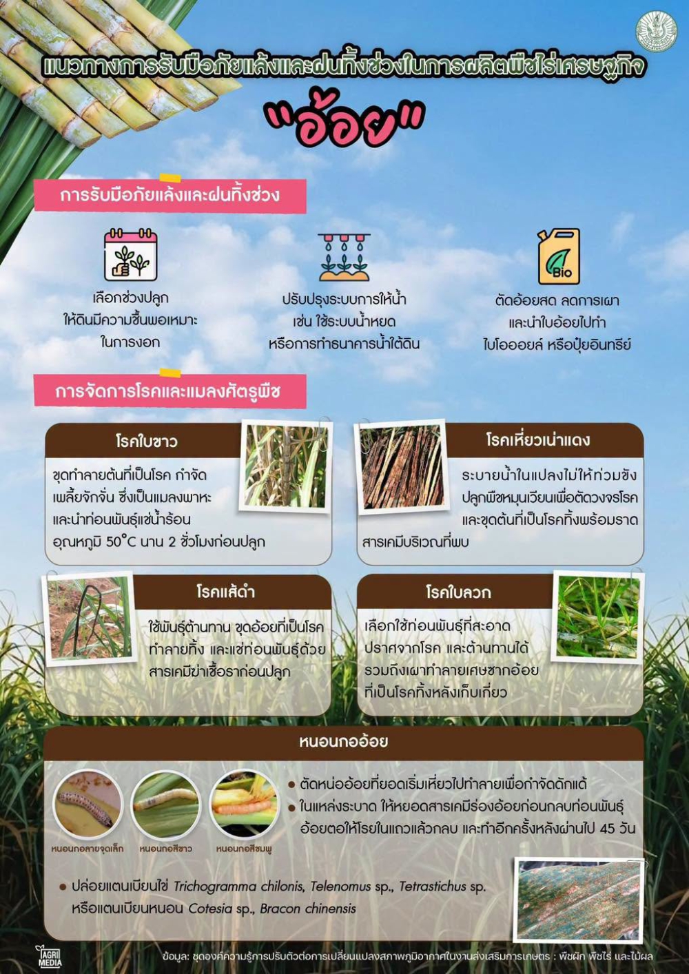 แนวทางการรับมือภัยแล้งและฝนทิ้งช่วงในการผลิตพืชไร่เศรษฐกิจ