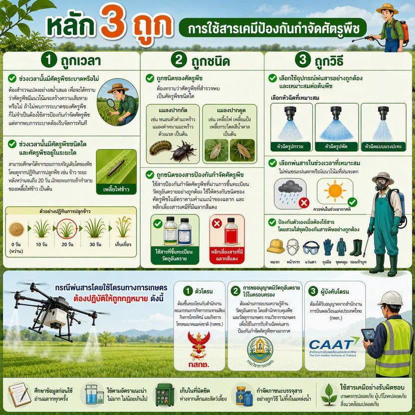 หลัก 3 ถูก การใช้สารเคมีป้องกันกำจัดศัตรูพืช