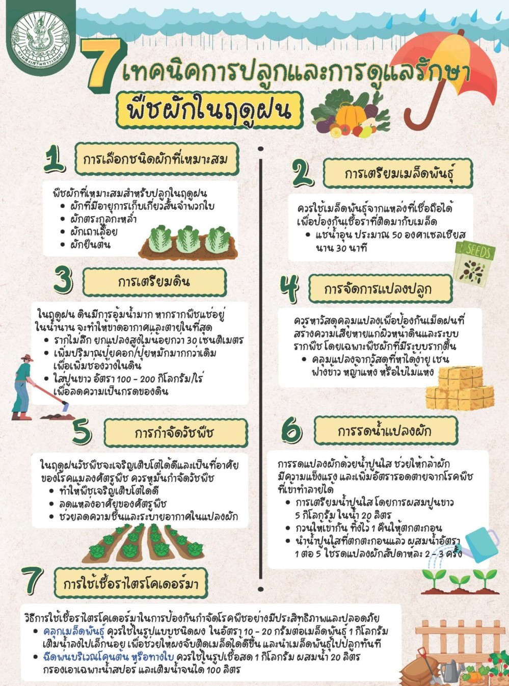 7 เทคนิคการปลูกและการดูแลรักษาพืชผักในฤดูฝน