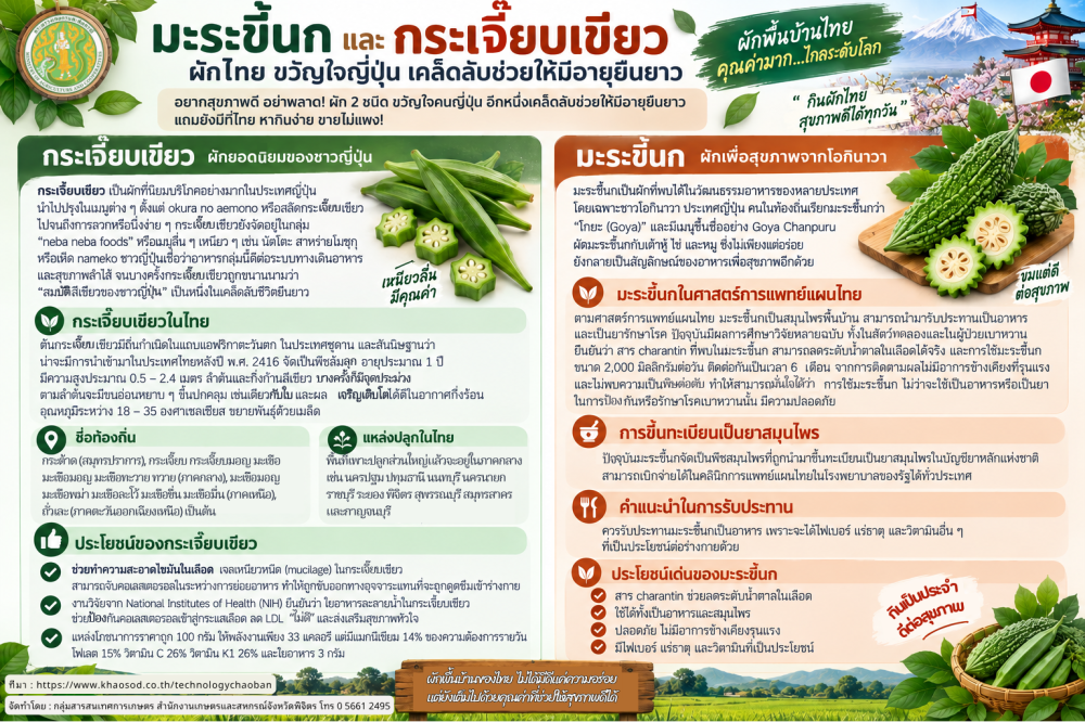มะระขี้นกและกระเจี๊ยบเขียวผักไทยขวัญใจญี่ปุ่น