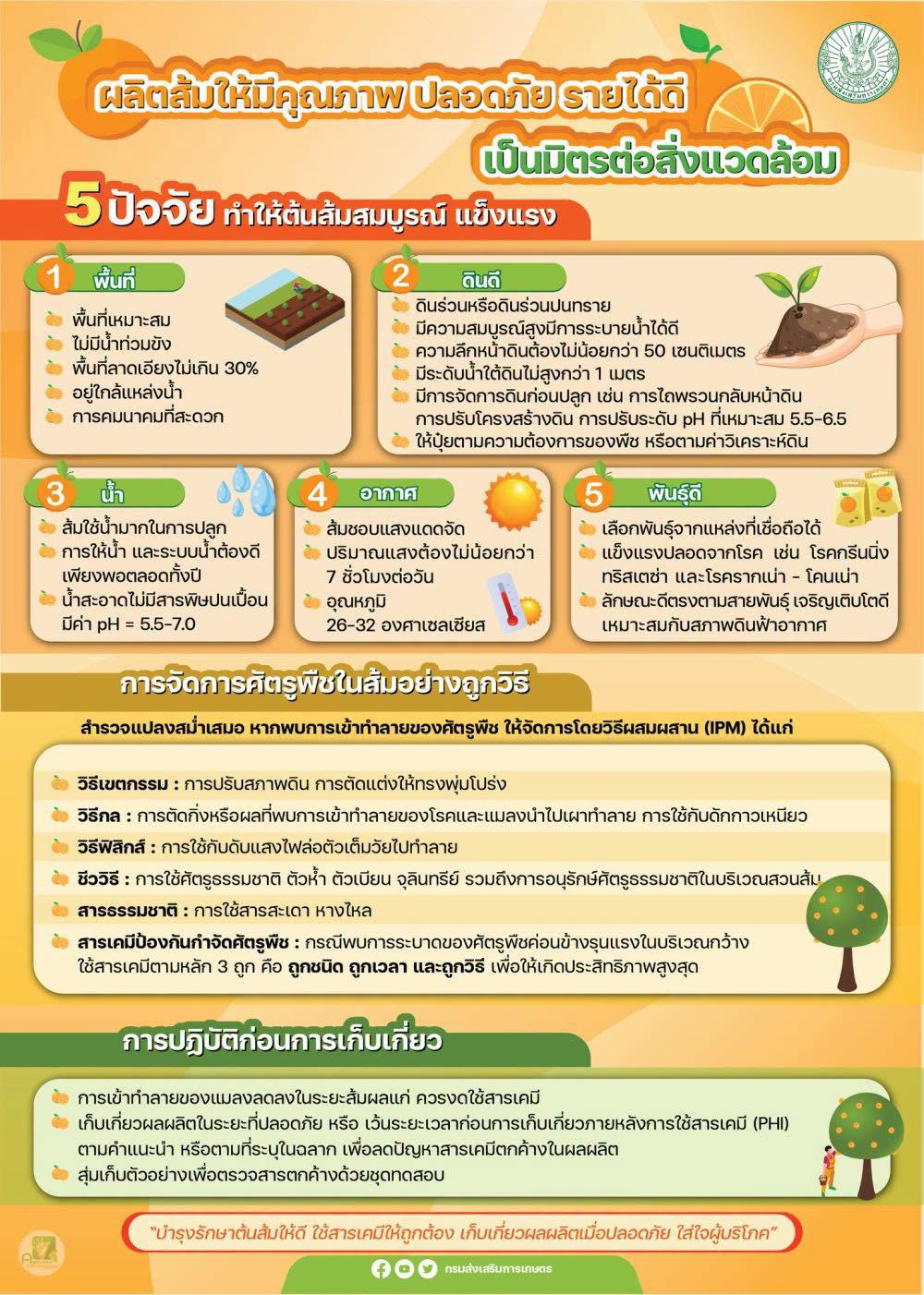 5 ปัจจัยทำให้ต้นส้มสมบูรณ์แข็งแรง