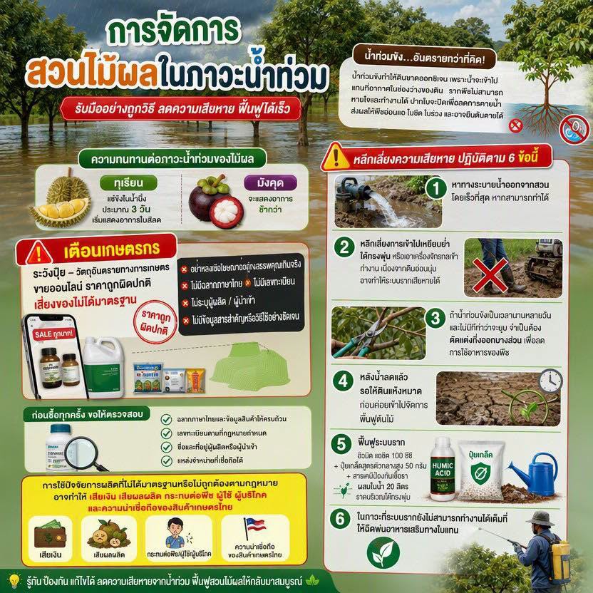 การจัดการสวนไม้ผลในภาวะน้ำท่วม
