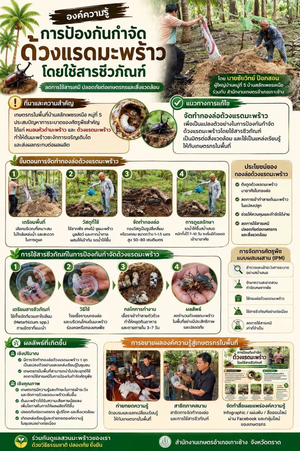 องค์ความรู้การป้องกันกำจัดด้วงแรดมะพร้าว