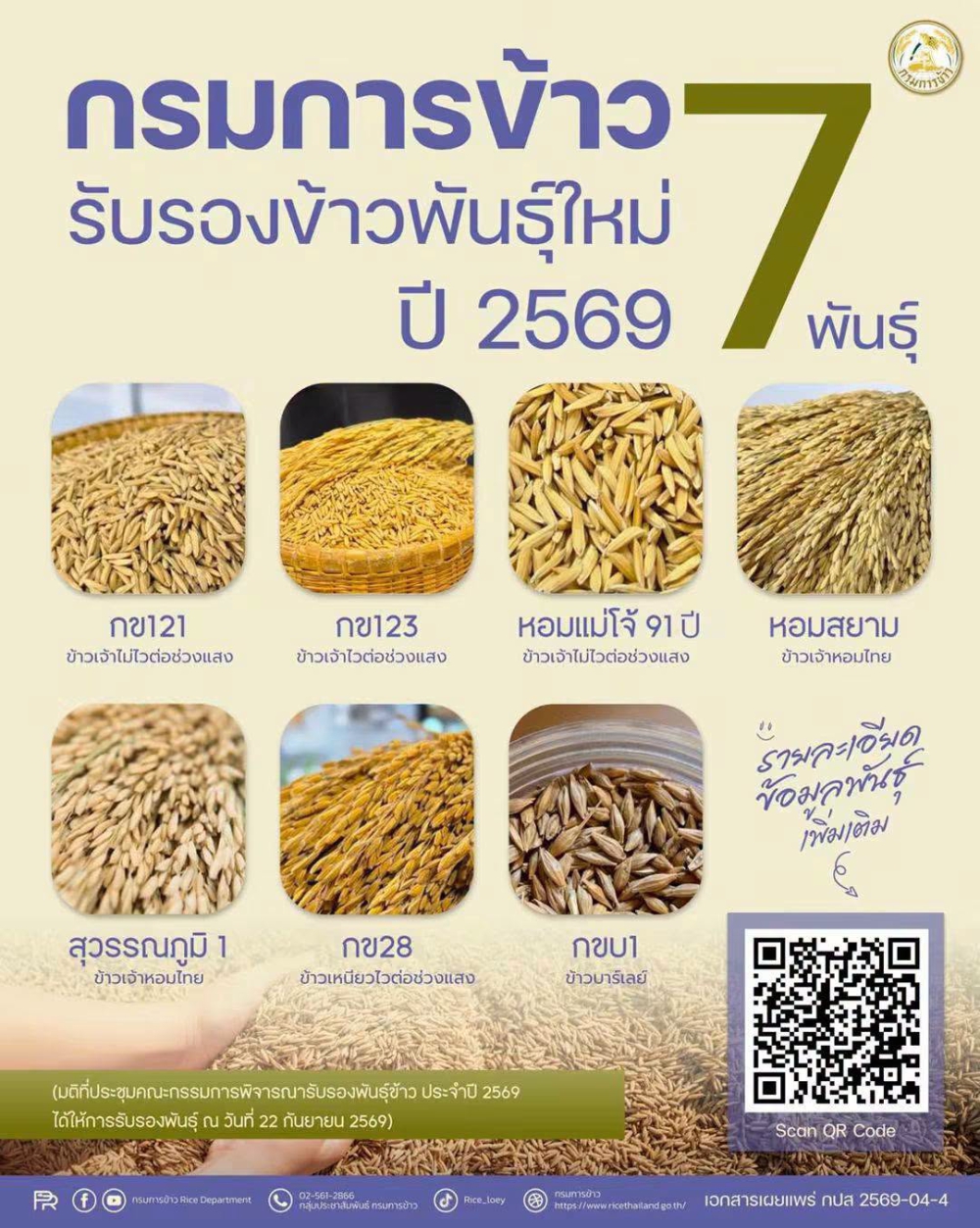 กรมการข้าว รับรองข้าวพันธุ์ใหม่ ปี 2569 จำนวน 7 พันธุ์