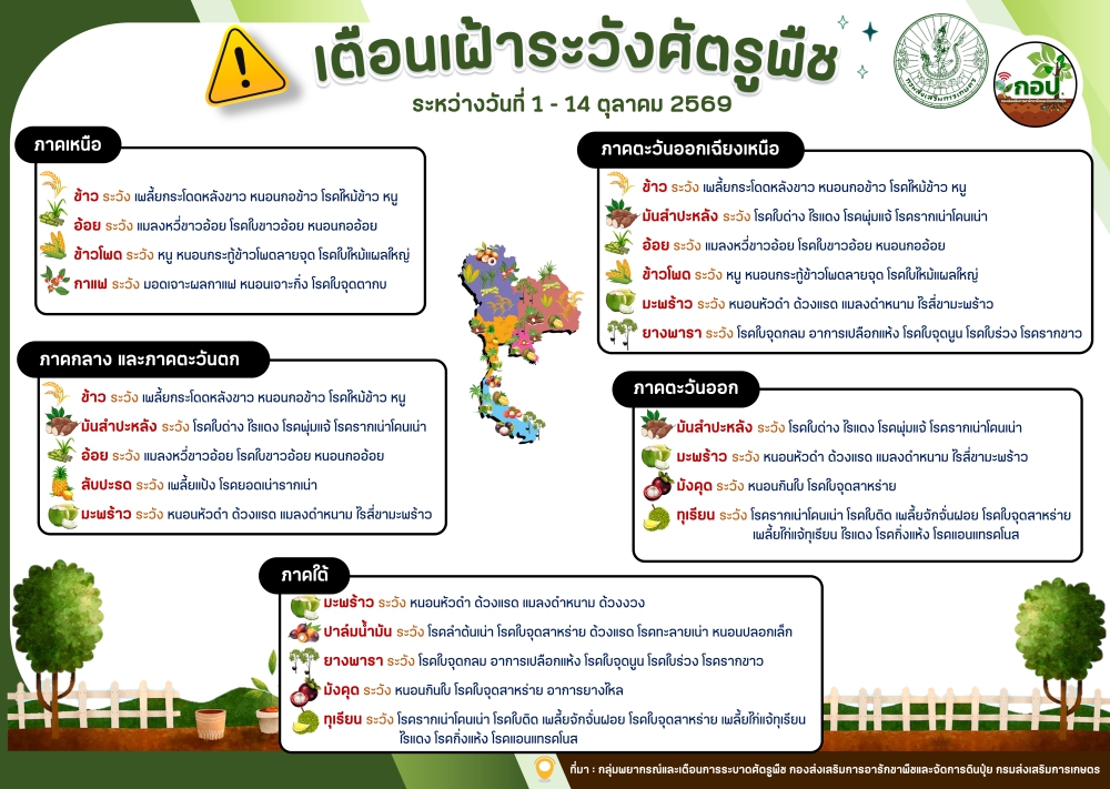 เตือนเฝ้าระวังศัตรูพืช ระหว่างวันที่ 1 - 14 ตุลาคม 2569