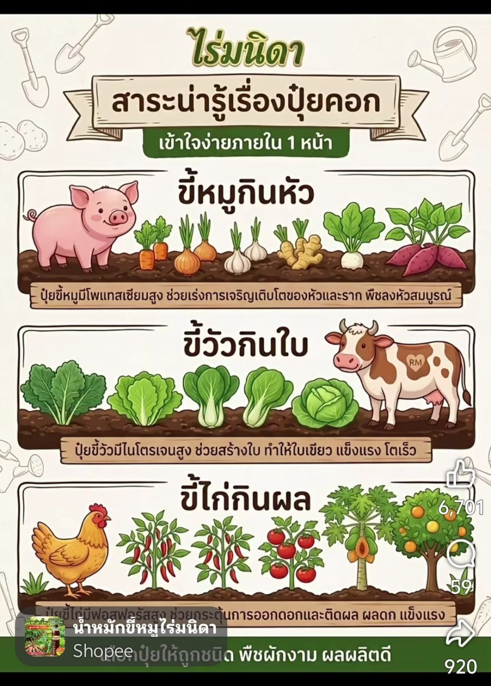 สาระเกี่ยวกับการใช้ปุ๋ยคอก