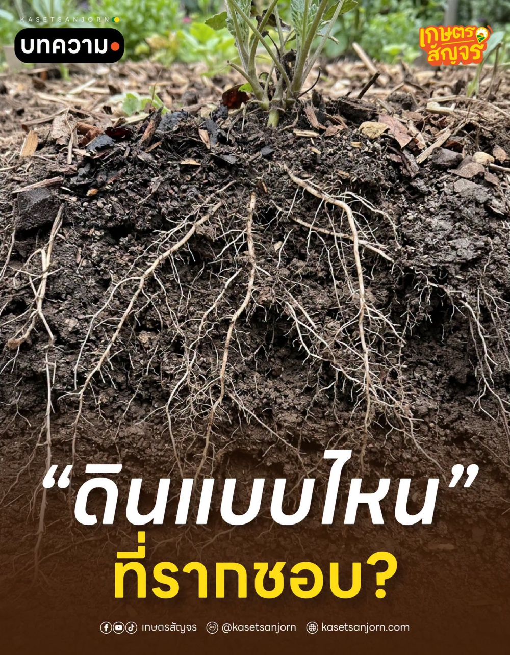 ดินแบบไหนที่รากชอบ?