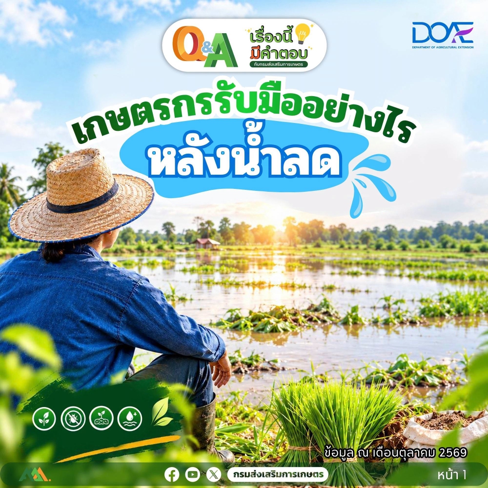 บางพื้นที่เมื่อน้ำลดแล้ว