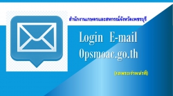 E-mail