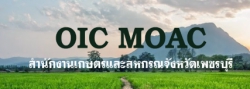 ศูนย์ข้อมูลข่าวสารราชการ สำนักงานเกษตรและสหกรณ์จังหวัดเพชรบุรี