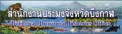 ประมงจังหวัดบึงกาฬ