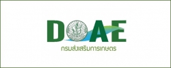 https://www.doae.go.th/index.php
