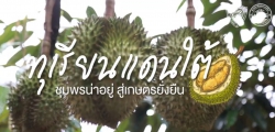 ทุเรียนแดนใต้ "ชุมพรน่าอยู่ สู่เกษตรยั่งยืน"