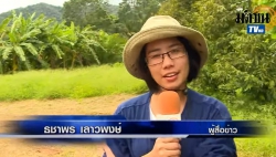 สวนทุเรียนพะโต๊ะชุมพร : เกษตรเชิงระบบ คิดใหม่ ทำจริง เกิดผลแล้ว