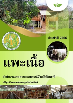 แพะเนื้อ