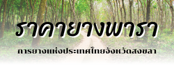 ราคายางพารา ณ ตลาดกลางยางพาราจังหวัดสงขลา2