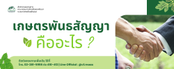 เกษตรพันธสัญญา