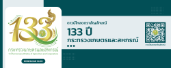 133 ปี