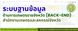 ระบบฐานข้อมูล ด้านการเกษตรรายจังหวัด (Back-end)