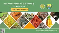 ระบบสารสนเทศสินค้าเกษตรที่สำคัญ จังหวัดลำปาง