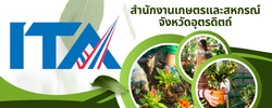 การประเมินคุณธรรมและความโปร่งใส (ITA) ประจำปี พ.ศ. 2569