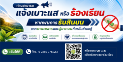 แจ้งเบาะแส หรือ ร้องเรียน