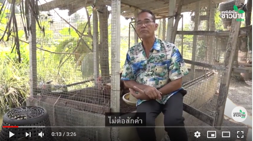 ไก่หลุมใช้ไก่ทำงานได้ไข่เพิ่มมูลค่า