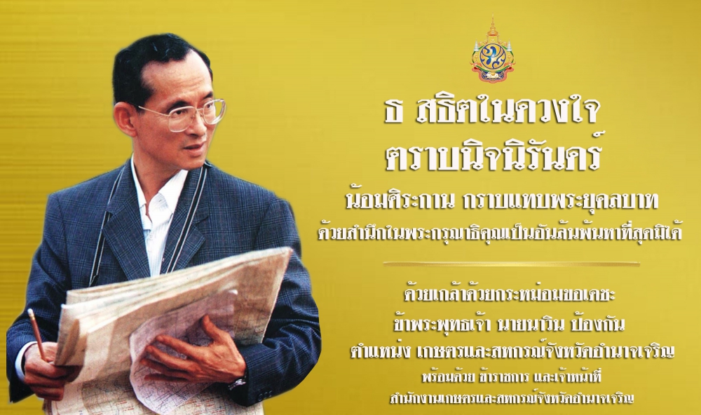 น้อมรําลึกในพระมหากรุณาธิคุณ