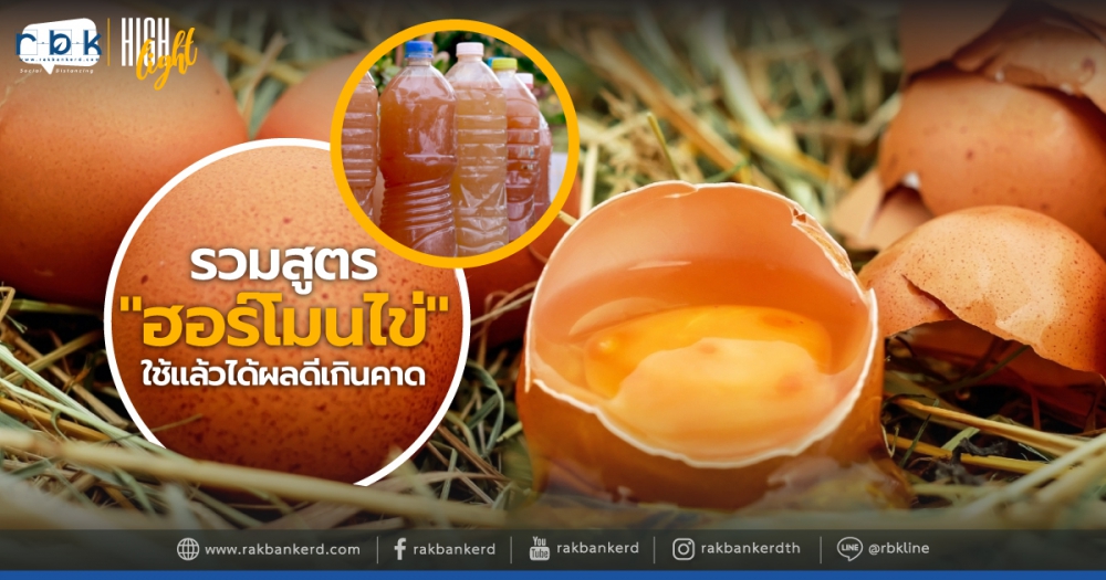 ฮอร์โมนไข่