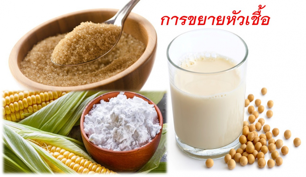 ของใช้ในครัวเรือน ป้องกันแมลงกำจัดศัตรูพืช