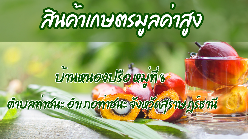 สินค้าเกษตรมูลค่าสูง อ.ท่าชนะ จ.สุราษฎร์ธานี