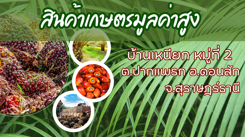 สินค้าเกษตรมูลค่าสูง อ.ดอนสัก จ.สุราษฎร์ธานี