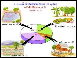 เกษตรผสมผสานเกษตรทฤษฎีใหม่29ปีกับความสำเร็จขั้นสูงสุด