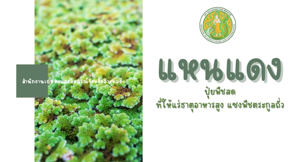 สำนักงานเกษตรและสหกรณ์จังหวัดอ่างทอง