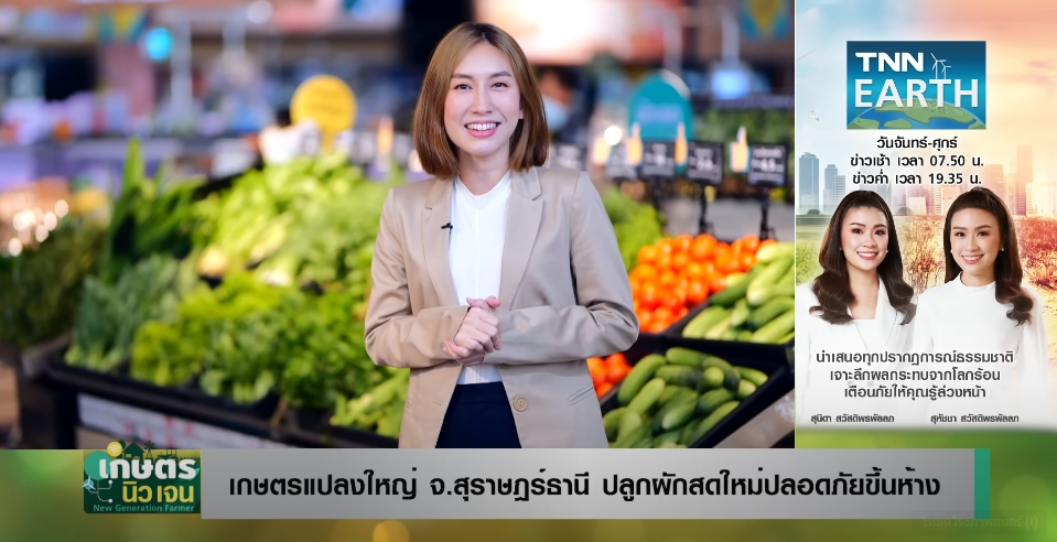 เกษตรแปลงใหญ่จ.สุราษฎร์ธานีปลูกผักสด