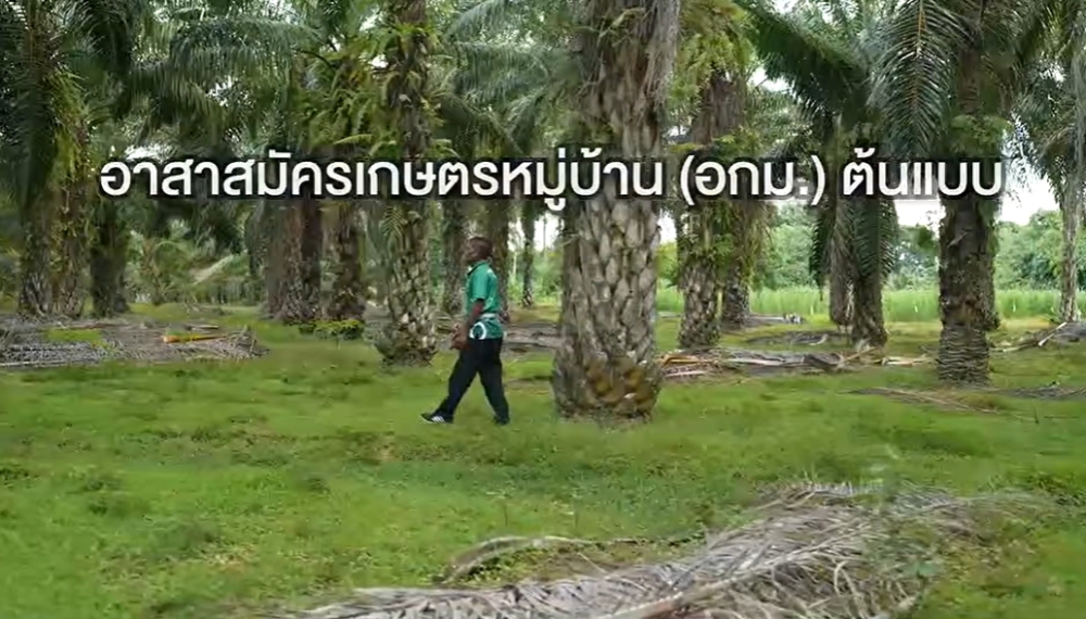 วีดิทัศน์สารคดีสั้นถ่ายทอดเรื่องราวสร้างแรงบันดาลใจการทำงานของเกษตรกรจิตอาสาในฐานะอาสาสมัครเกษตรหมู่บ้าน