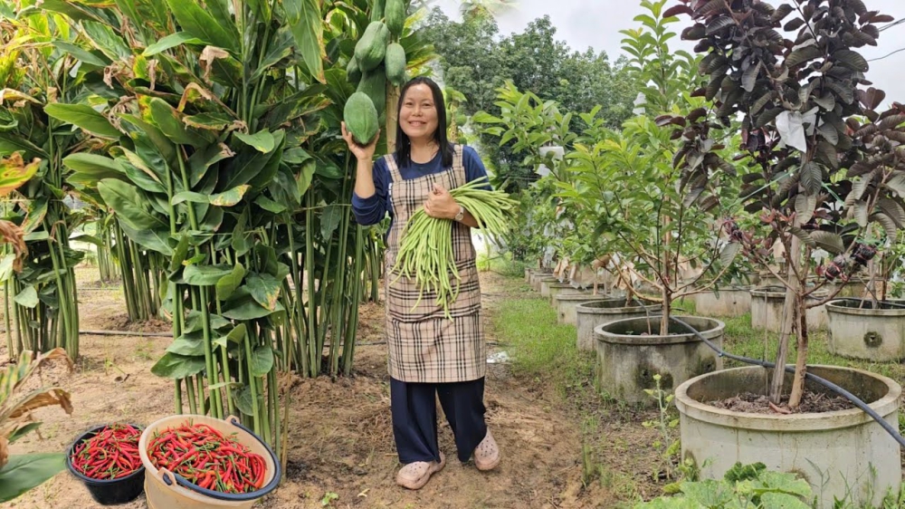 พื้นที่2งานออกแบบอย่างดีรายได้หลักแสนต่อปี