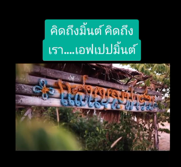 มิ้นต์