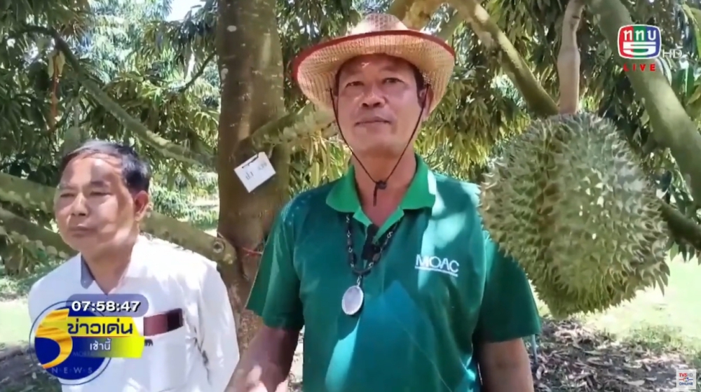 จังหวัดสุราษฎร์ธานี