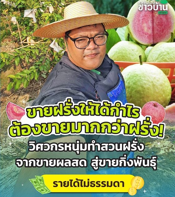 ขายฝรั่งให้ได้กำไร